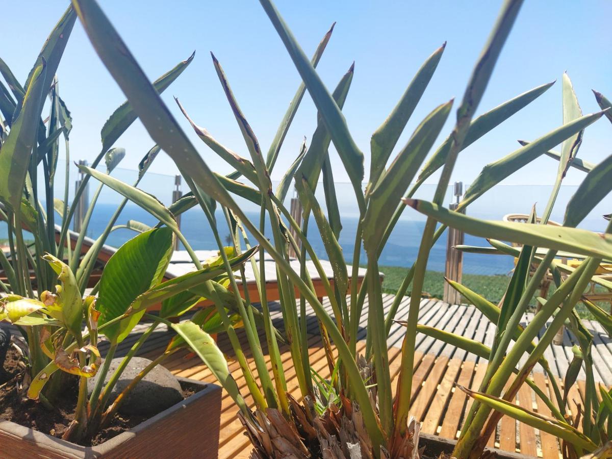 Penthouse La Palmita - Tazacorte, La Palma Extérieur photo